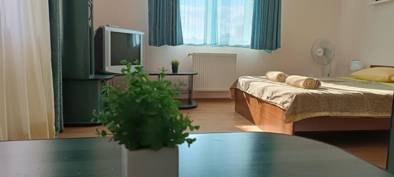 Vip Apartments In The Centre Mukačevo Esterno foto